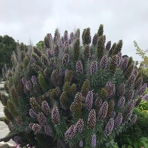 Meet your Posher, Lucy